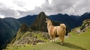 Cusco y Machu Picchu a tu alcance